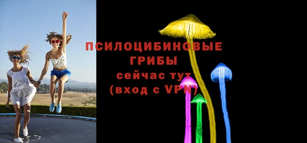 трава Мегион